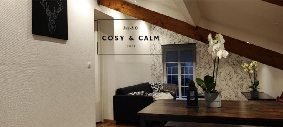 شقة Freyming-Merlebach  في Calm & Cosy المظهر الخارجي الصورة